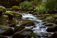 Waterval