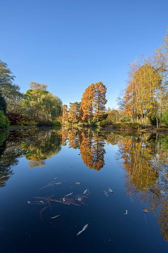 Herfst in Amstelveen