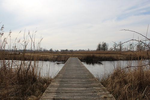 Brug in Nationaal Park De Alde Feanen