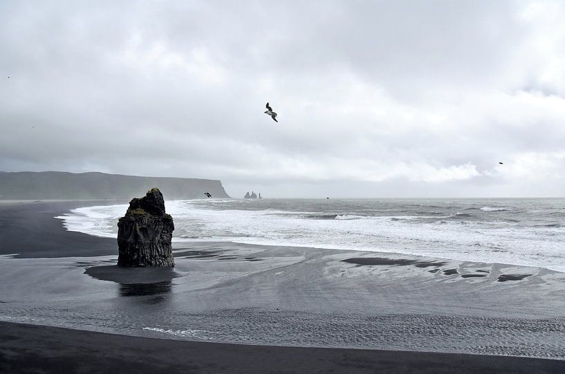 Kust bij Dyrholaey, Ijsland, met papegaaiduikers van Jutta Klassen