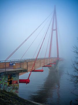 Magdeburg - Rotehornbrücke im Nebel
