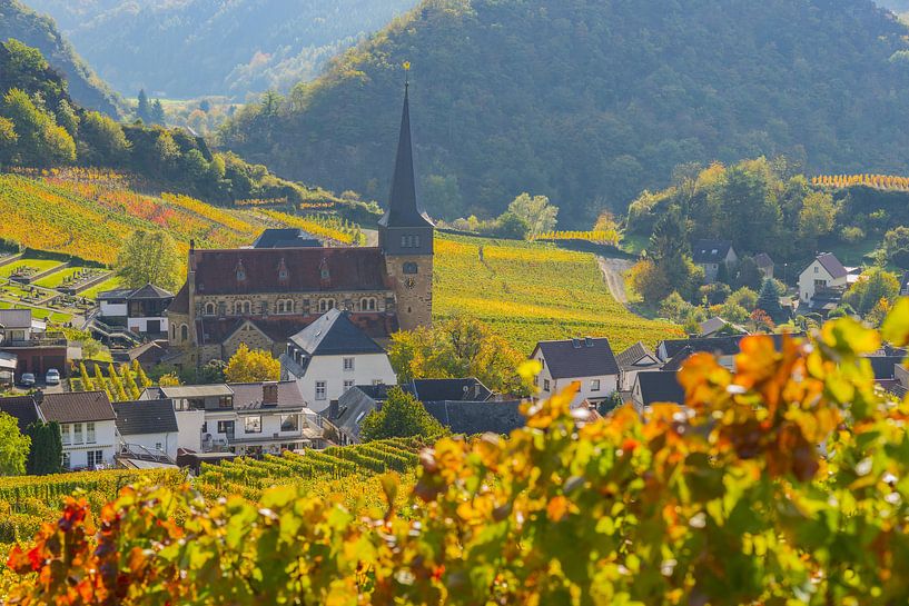 Weinberge im Herbst, Mayschoß, Ahrtal van Walter G. Allgöwer