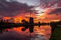 Molen in Alkmaar na zonsondergang van Dennis Dieleman thumbnail