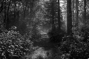 Le chemin à parcourir
