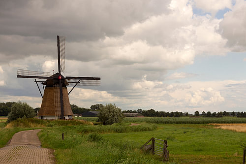 Mühle in Polder