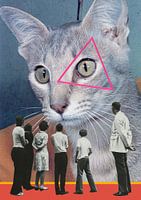 Cat people