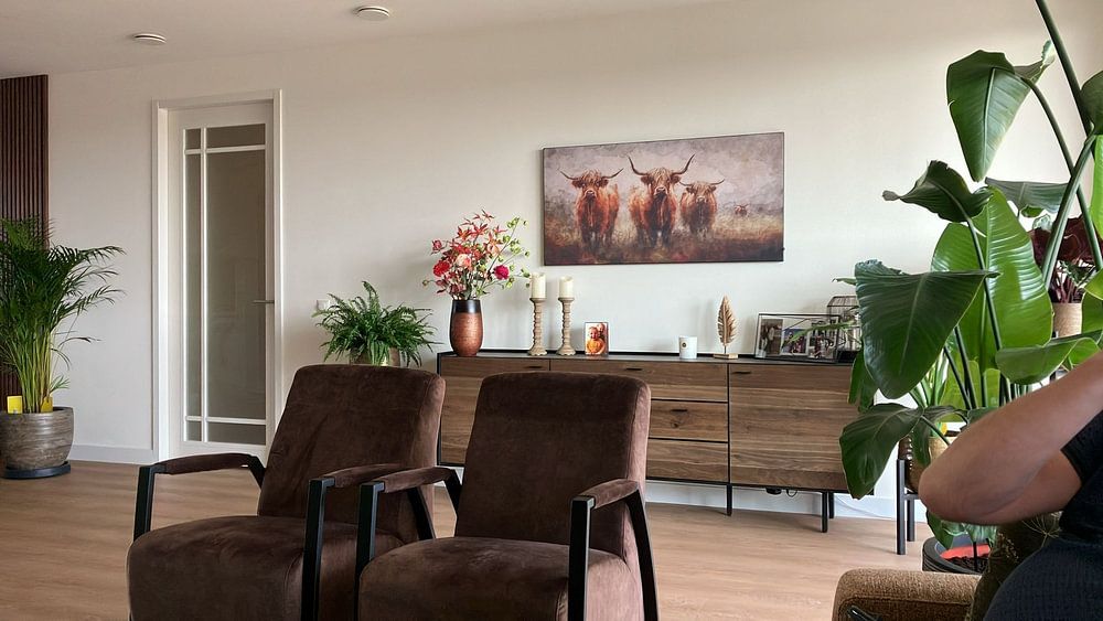 Highlanders écossais dans la prairie  par Whale &amp; Sons 