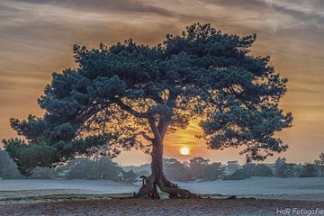 Zonsondergang Soestduinen van Herman de Raaf