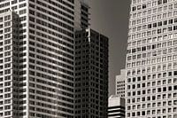 San Francisco skyline