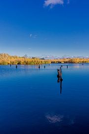 Belle promenade automnale sur la mer Baltique polonaise sur Oliver Hlavaty