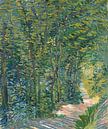 Vincent van Gogh, Waldweg von 1000 Schilderijen Miniaturansicht