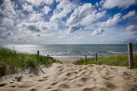 Duinopgang Noordwijk