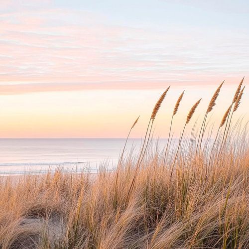 Strandlandschap in het ochtendlicht