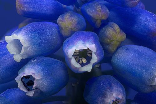 Extraterrestrisches Blau