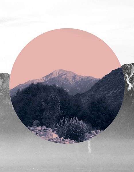 Shapes In Nature II by Gemma Bardot