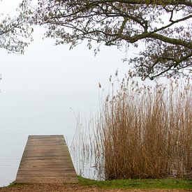 Steiger in het Haarlemmermeerse Bos van Wim Slootweg