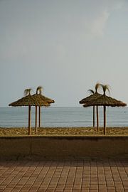 Beach huts in the Afternoon Sun by Venkat Ayyalasomayajula