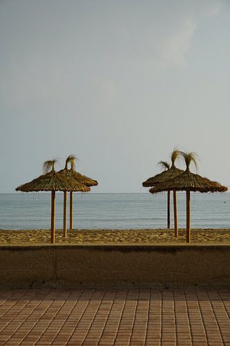 Strandhuisjes in het Middaglicht