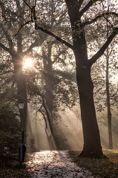 Kampen - Niederlande von Dries van Assen