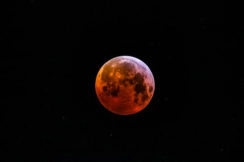 Blood Moon