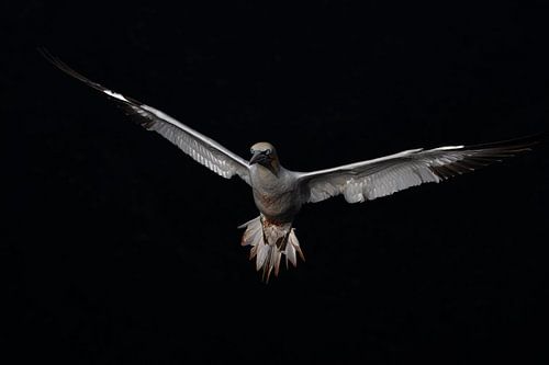 Low Key vliegbeeld Jan van Gent.