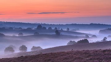 Le paysage stratifié de la Posbank avant le lever du soleil