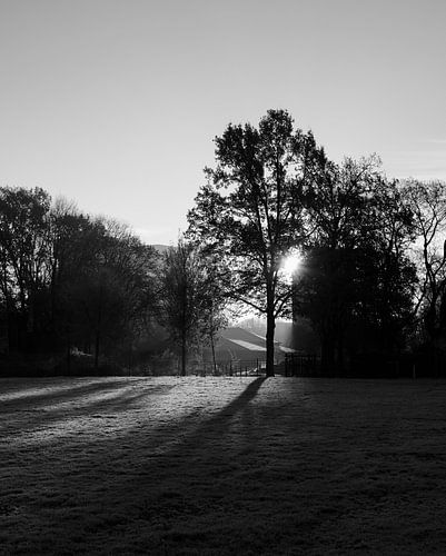 Zonsopgang in het park op een wintermorgen