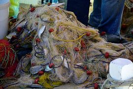 How to get them out by Frank's Awesome Travels