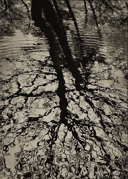 REFLECTION TREES 03 by Aad Holkamp