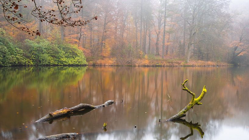 Herbstfarben in den Niederlanden von Sonny Vermeer