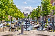 Straatbeeld met  Begijnebrug  in Haarlem in Nederalnds van Hilda Weges thumbnail
