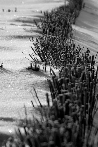 Duinbescherming en sneeuw