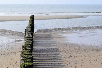 Paaltjes op het strand van Schouwen-Duiveland