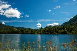 Am Hintersee von Thomas Riess