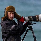 Cheng Chang Profilfoto