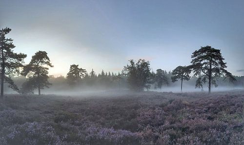 Landes brumeuses Monticules funéraires De Eese