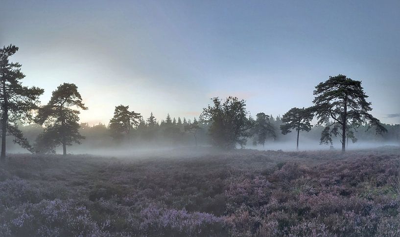 Mistige heide Grafheuvels De Eese van Saskia Veenstra