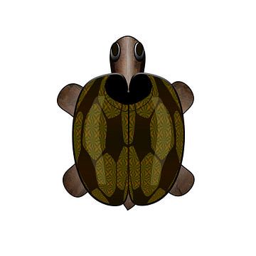 Schildpad van Grüntyers .