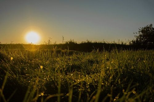 Sonnenaufgang ich der Wiese