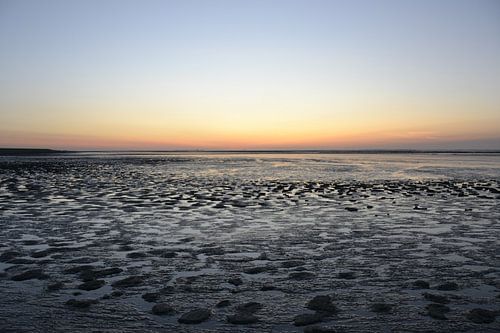 Wadden by Folbert Nicolai