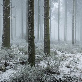 Brouillard dans les High Fens sur Betere Landschapsfoto