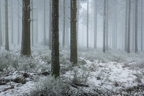 Mist in de Hoge Venen van Betere Landschapsfoto