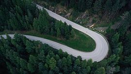 Ötztaler Waldstraße von Marcel Hechler