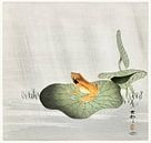 Frog on lotus leaf (1900 - 1930) by Ohara Koson van Studio POPPY thumbnail
