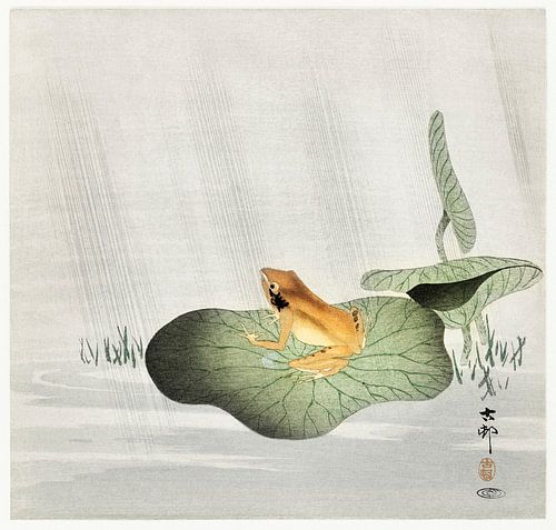Frog on lotus leaf (1900 - 1930) by Ohara Koson