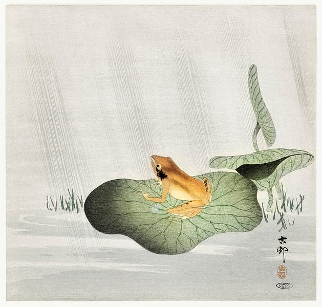 Frog on lotus leaf (1900 - 1930) by Ohara Koson van Studio POPPY