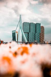 Erasmusbrug van Chris Koekenberg