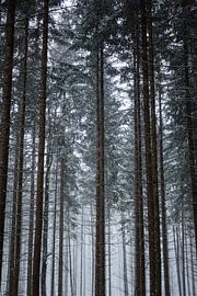 Alpsee | Winter in the Alps by Nanda van der Eijk