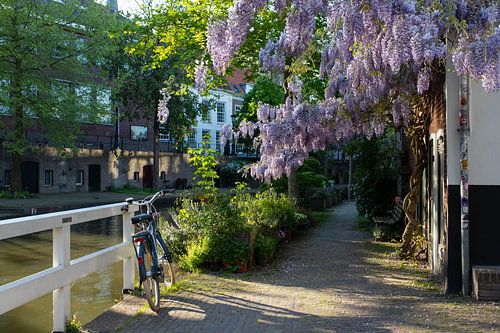 Oudegracht Utrecht