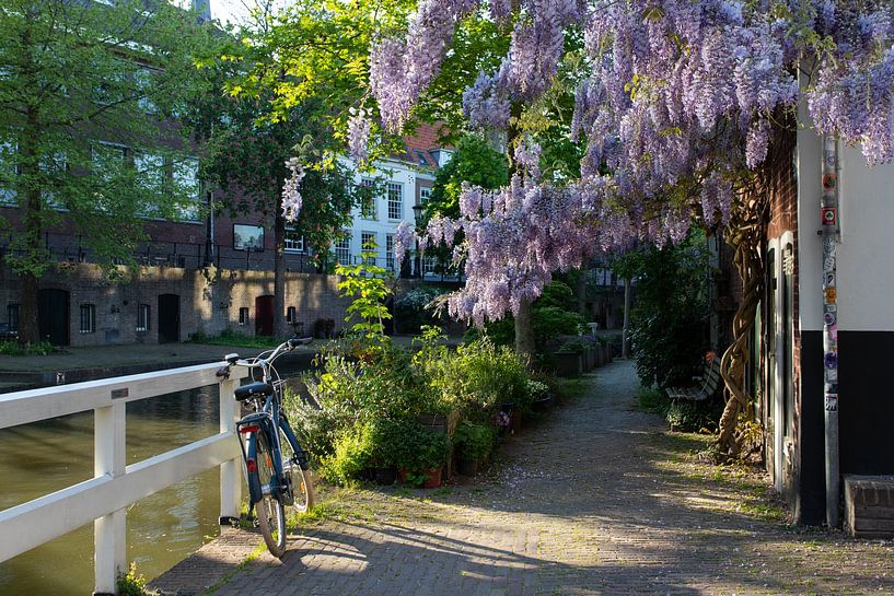 Oudegracht Utrecht by Rob vlierd van de